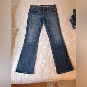 AG Adriano Goldschmied Size 28 The Jessie Curvy Boot Cut